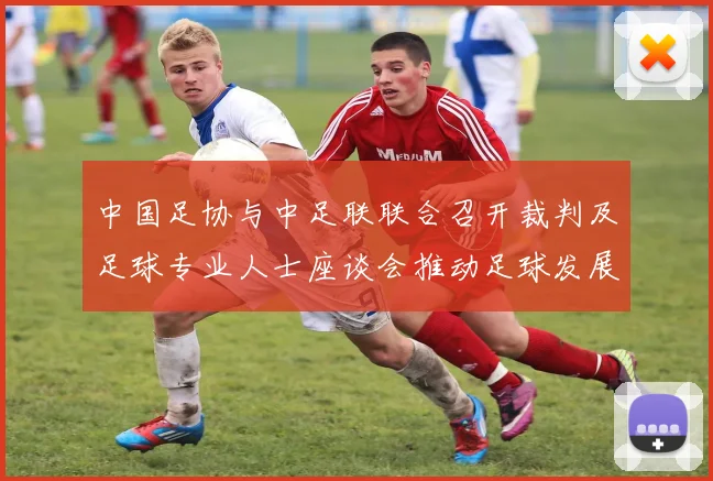中国足协与中足联联合召开裁判及足球专业人士座谈会推动足球发展新举措